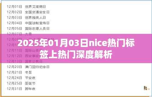 关于Nice热门标签的深度解析,揭秘背后的秘密(日期标注)