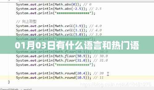 语言热门更新速递,最新热门语言及流行语盘点