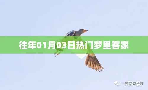 梦里客家,历年一月三日热门话题盘点