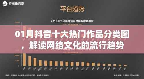 抖音热门作品分类图解读,网络文化流行趋势分析