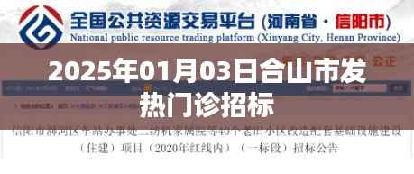 合山市发热门诊招标公告(2025年1月)