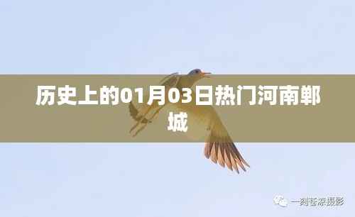 河南郸城历史上的重要时刻，一月三日热门事件回顾