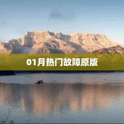 01月热门故障解析,全面解析故障问题