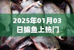 鳊鱼热潮来袭，揭秘其背后的故事，时间锁定在2025年