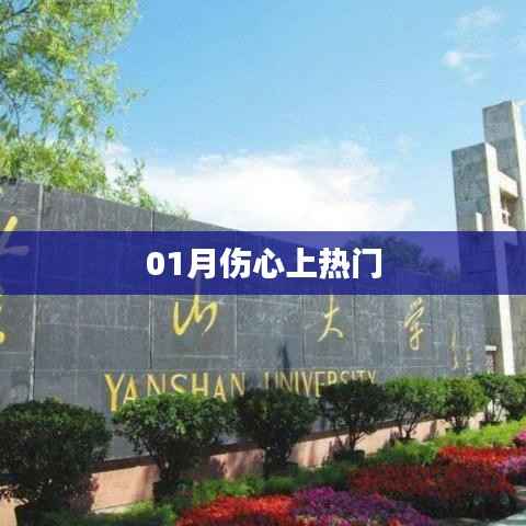 伤心一月,情感热点的无声呐喊