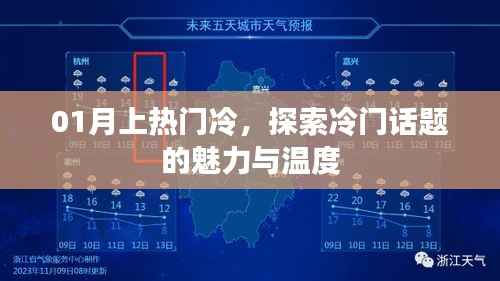 冷门话题也有魅力,探索一月话题深度与温度