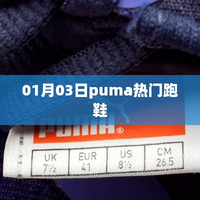 Puma热门跑鞋,时尚与性能并存,引领潮流新风尚