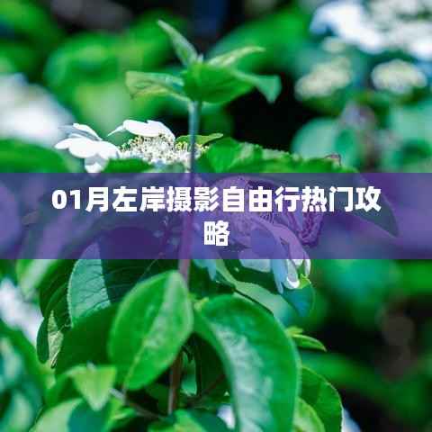 「摄影爱好者的福音,一月份左岸自由行摄影攻略大揭秘」