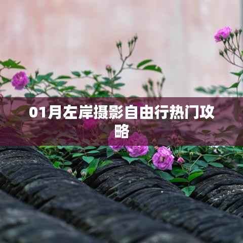 「摄影爱好者的福音,一月份左岸自由行摄影攻略大揭秘」