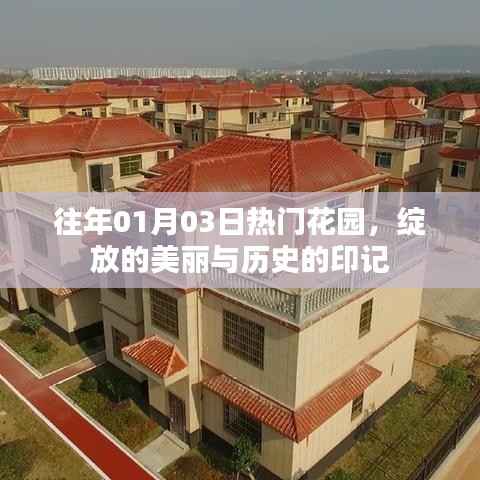 花园盛开之美与历史印记，一月三日盛况回顾