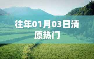 清原县历年元旦后热门活动盘点