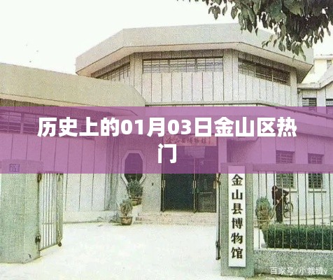 历史上的金山区热点事件，一月三日回顾
