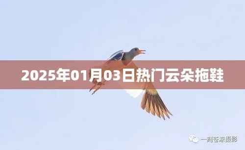『2025年爆款,时尚云朵拖鞋,舒适轻盈引领潮流』