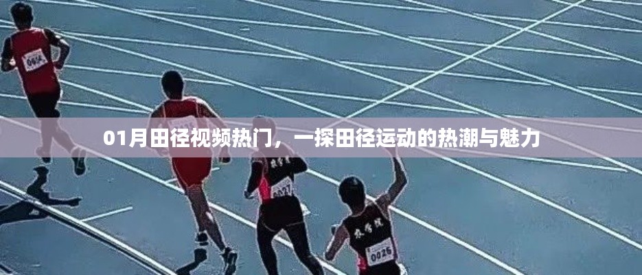一探魅力田径运动热潮,本月热门视频全解析