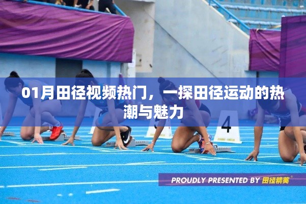 一探魅力田径运动热潮,本月热门视频全解析