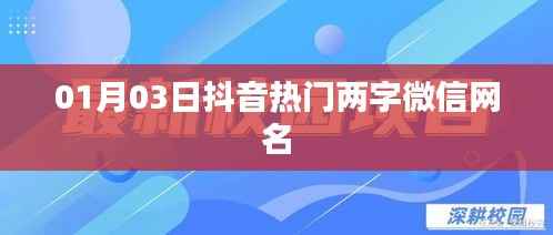 抖音热门两字微信网名精选，每日更新排行推荐