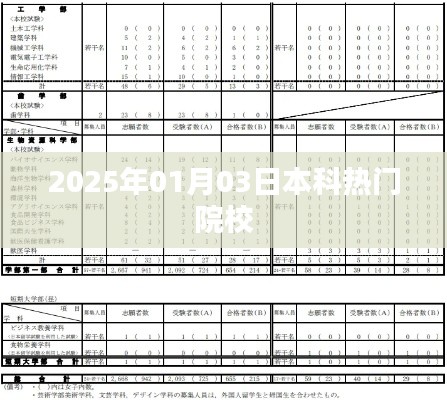 2025年热门本科院校盘点及申请指南