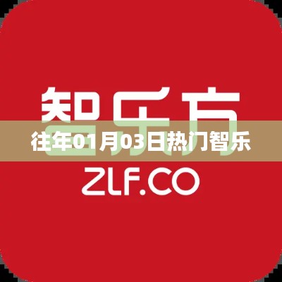 往年元旦后热门智乐活动回顾