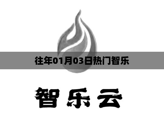 往年元旦后热门智乐活动回顾