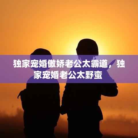 独家宠婚傲娇老公太霸道,独家宠婚老公太野蛮