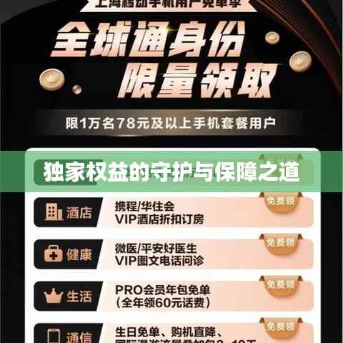 独家权益的守护与保障之道