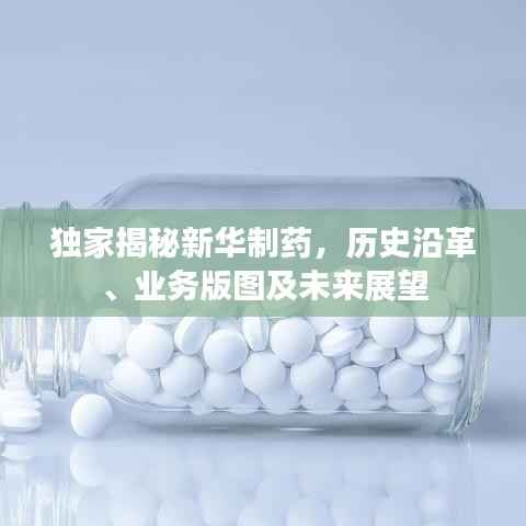 独家揭秘新华制药，历史沿革、业务版图及未来展望