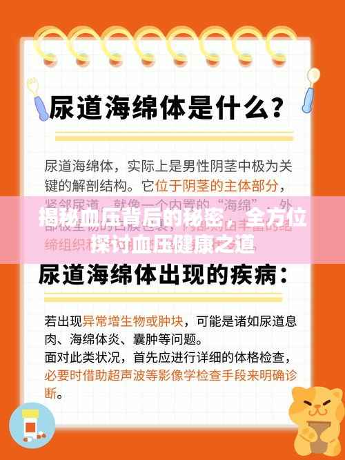 揭秘血压背后的秘密，全方位探讨血压健康之道