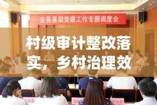 村级审计整改落实,乡村治理效能提升的关键环节