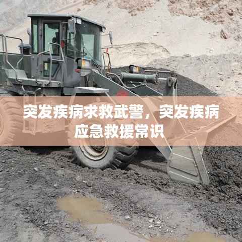 突发疾病求救武警，突发疾病应急救援常识 