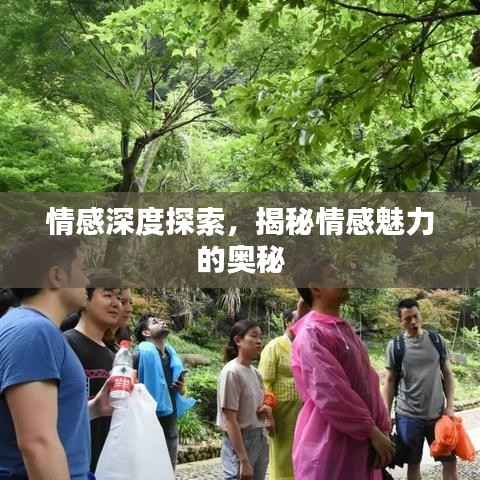 情感深度探索,揭秘情感魅力的奥秘