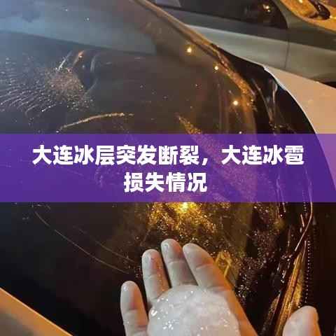 雅量高致 第6页