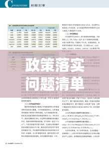 政策落实问题清单，深化执行力的关键路径探索