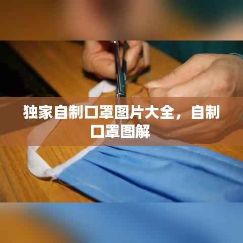 独家自制口罩图片大全,自制口罩图解