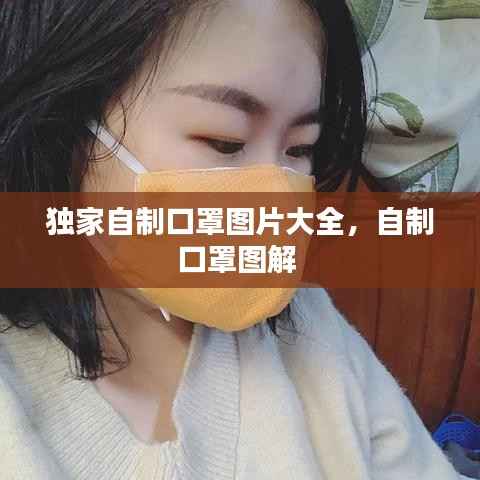 独家自制口罩图片大全,自制口罩图解