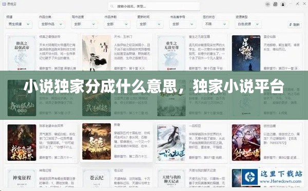 小说独家分成什么意思,独家小说平台
