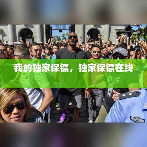 我的独家保镖,独家保镖在线
