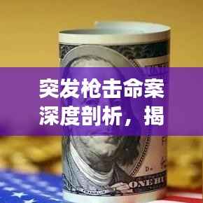 突发枪击命案深度剖析,揭示案件背后的真相与警示社会安全漏洞