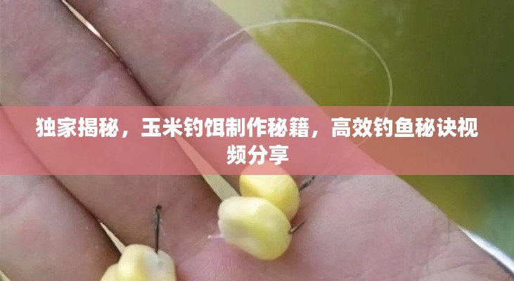 独家揭秘,玉米钓饵制作秘籍,高效钓鱼秘诀视频分享