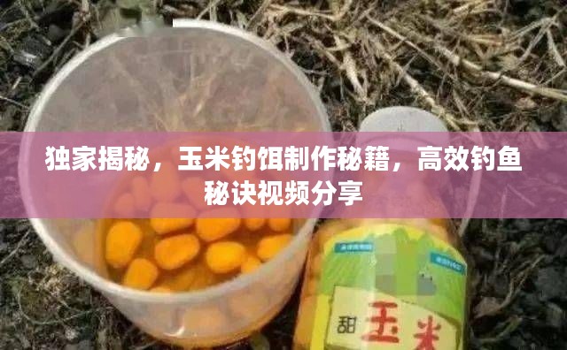 独家揭秘,玉米钓饵制作秘籍,高效钓鱼秘诀视频分享