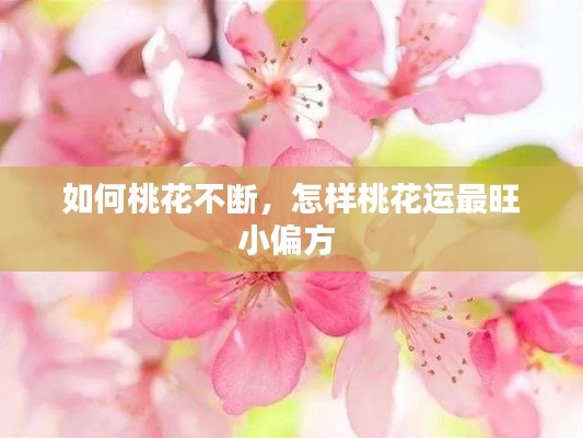如何桃花不断,怎样桃花运最旺小偏方