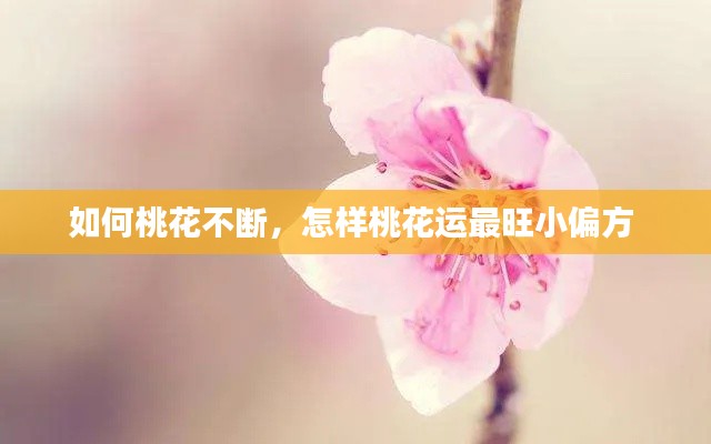 如何桃花不断,怎样桃花运最旺小偏方