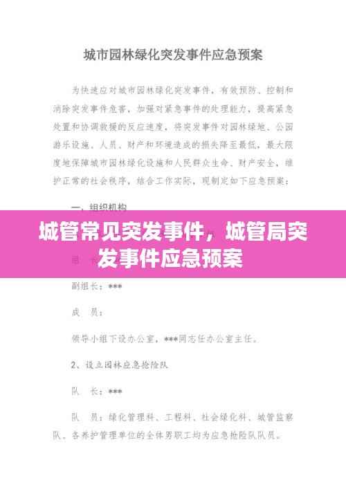 城管常见突发事件，城管局突发事件应急预案 