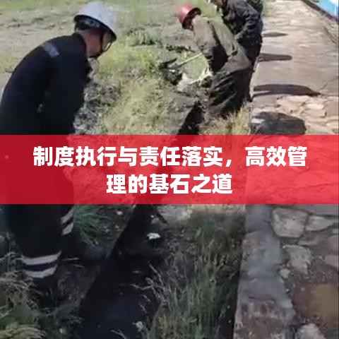 制度执行与责任落实,高效管理的基石之道