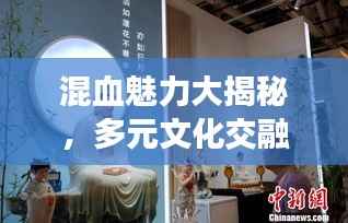 混血魅力大揭秘,多元文化交融的无限魅力探索