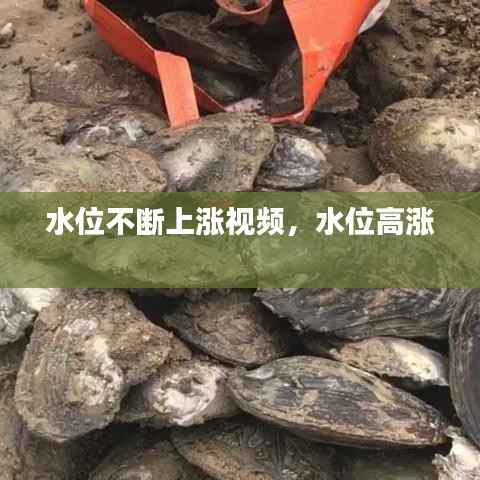 水位不断上涨视频,水位高涨