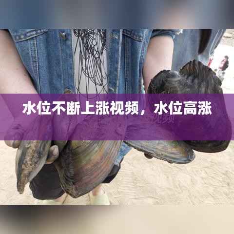 水位不断上涨视频,水位高涨