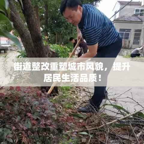 街道整改重塑城市风貌,提升居民生活品质!