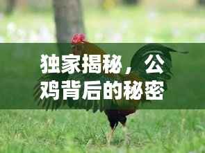 业业兢兢 第6页