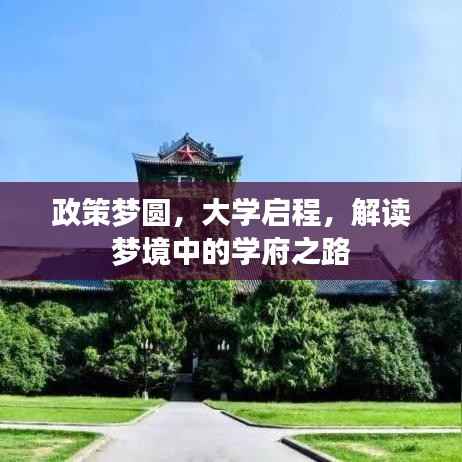 政策梦圆，大学启程，解读梦境中的学府之路