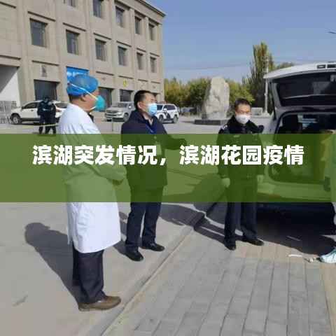 滨湖突发情况,滨湖花园疫情